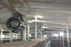 山東大型養(yǎng)殖場批量安裝噴霧降溫風(fēng)機
